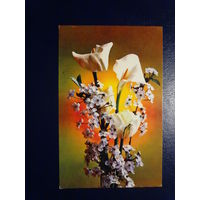 С праздником!  Цветы.  1975 г.  подписанная.