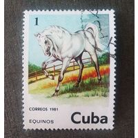 Марка Куба 1981 Лошадь