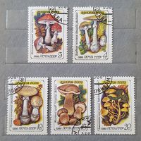 Марки ядовитые грибы 1986 СССР