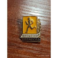 Знак значок Юношеский разряд 3