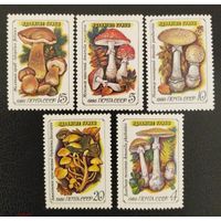 Ядовитые грибы.  СССР,  1986