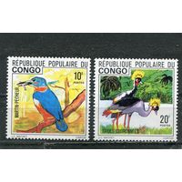 Конго. Фауна. Птицы