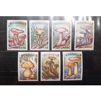 Никарагуа. 1985 год. Флора. Грибы (968)