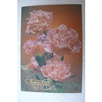 Стейнерт Э., Поздравляю! 1990, чистая.