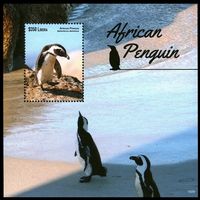 2015 Либерия 6636/B698 Птицы - Пингвины 10,00 евро