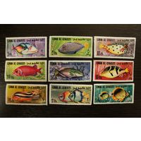 Умм-аль-Кувейн. 1967. Морская Фауна. Экзотические рыбы