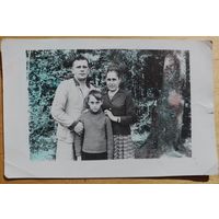 Фото в коллекцию