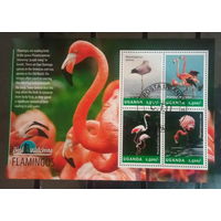 ЛИСТ ФАУНА ПТИЦЫ  СТО