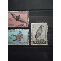 Фауна ангола