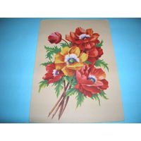 БССР. 1961 год. Цветы. Маки. художник В.Зеленов. Минск. Чистая