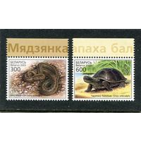 Беларусь 2003. Фауна. Рептилии