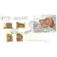 Конверт "Бобр"