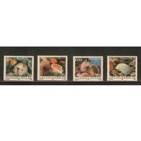 Югославия-1988(Мих.2275-2278) , **  , Морская  Фауна, Раковины (полная серия)