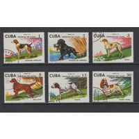 Фауна Собаки Куба 1976 Породы охотничьих собак Used