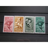Рио Муни 1960 Цветы