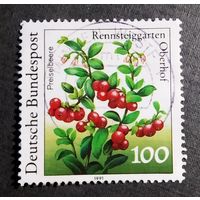 Марка Германия 1991 год Ягоды
