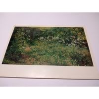 Открытка. И. И. Шишкин. Сныть-трава.