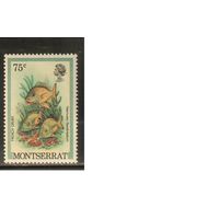 Монтсеррат-1981(Мих.454 I) , **    , Морская Фауна , Рыбы