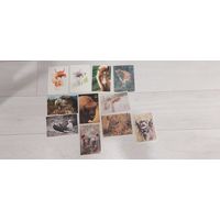 Открытки на тему ФАУНА. Смотрите другие лоты.