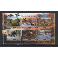 Руанда 2017** Охота Охотничьи собаки
