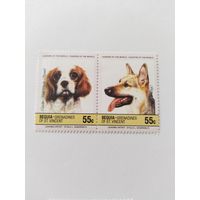 Бекиа 1985 2м собаки