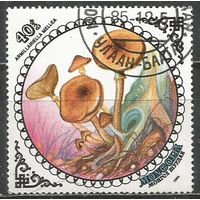 Монголия. Грибы. Опёнок осенний. 1985г. Mi#1741.