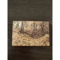 Календарик,пейзаж,1981