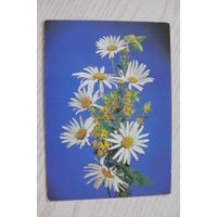 Киндрова Д., Поздравляем! 1988, подписана (ромашки).