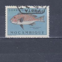 [1975] Португальский Мозамбик 1951. Фауна.Рыба.2 э. Гашеная марка.