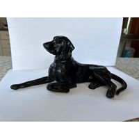 Собака - Поинтер. Касли