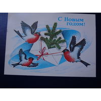 С Новым годом!  1982 г.  Письмо, снегири.  подписанная.