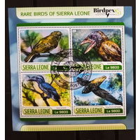 ЛИСТ ФАУНА ПТИЦЫ  СТО