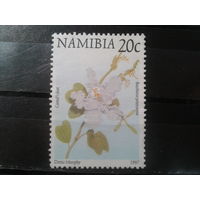 Намибия, 1997. Цветы