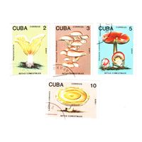 Куба 1989 Грибы