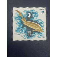 СССР 1975г. Экспо-75 Каспийское море.Осетр