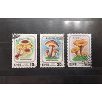 Корея. 1987 год. Флора. Грибы (97)