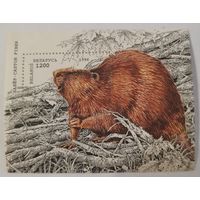 Блок "Европейский бобер"