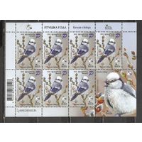 ФФ1 Беларусь 2022 Белая синица