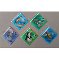 Фауна Черного моря. СССР, 1991