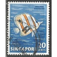 Сингапур. Рыба бабочка. 1962г. Mi#62.