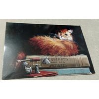 Посткроссинг. Открытка: кот и энциклопедия, худ.М.Павлова (11,5х16,5), издательство "Речь". Прошла почту. Художественная марка. штемпель.