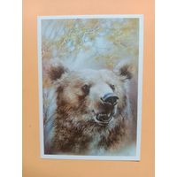 Открытка Исаков 1989 чистая