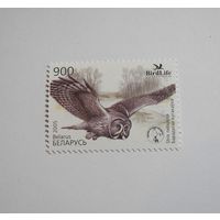 Птица года. Бородатая неясыть. 1м. 2005г.