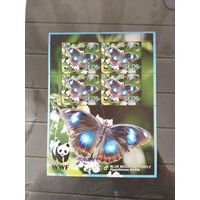 Аутитаки  2008 м/л бабочки