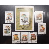 Йемен. 1990 год. Флора. Грибы. Блок и 7 марок (990)