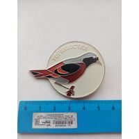 ЗНАЧОК ГОРИХВОСТКА