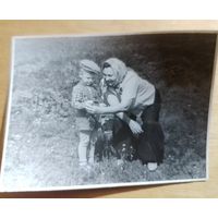 Фото в коллекцию