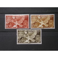 Испанская Гвинея Птицы Валенсия (3)
