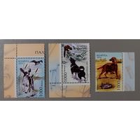 Охотничьи собаки. Полная серия. Беларусь, 2010