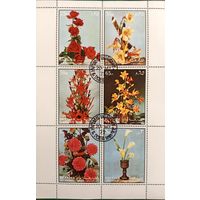 ОАЭ 1972. Шарджа. Флора